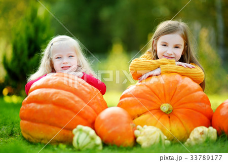 Two pretty little sisters having fun together on a pumpkin patch Two pretty little sisters having fun together on a pumpkin patch 33789177
