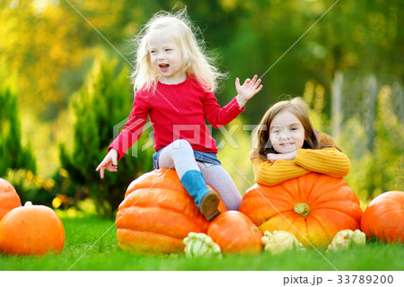 Two pretty little sisters having fun together on a pumpkin patch 33789200
