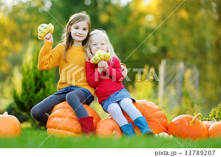 Two pretty little sisters having fun together on a pumpkin patch Two pretty little sisters having fun together on a pumpkin patch 33789207