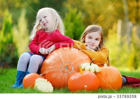 Two pretty little sisters having fun together on a pumpkin patch Two pretty little sisters having fun together on a pumpkin patch 33789208