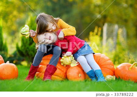 Two pretty little sisters having fun together on a pumpkin patch 33789222