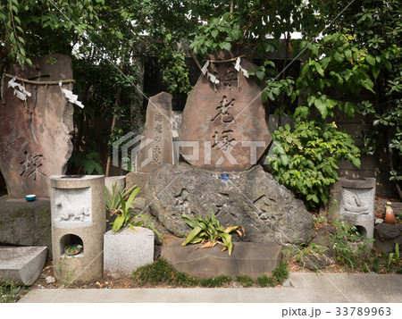 築地・波除神社のすし塚と海老塚 築地・波除神社のすし塚と海老塚 33789963
