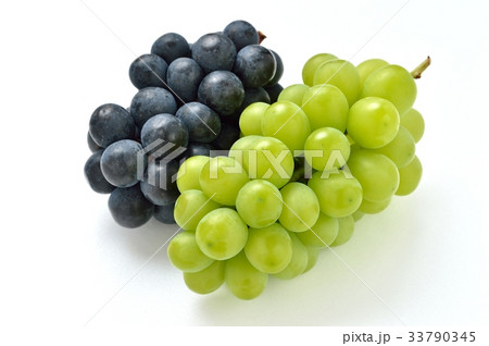 ブドウ ナガノパープル 紫色 とシャインマスカット 黄緑色 皮も食べられる葡萄です の写真素材