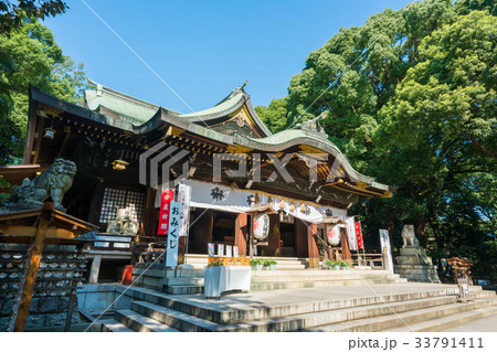 東京　大宮八幡宮　　 33791411