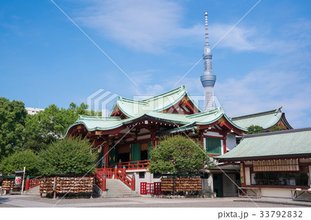 東京　亀戸天神社とスカイツリー 33792832
