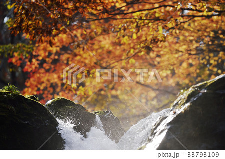 滝の落ち口の紅葉(鳥崎八景 上大滝) 滝の落ち口の紅葉(鳥崎八景 上大滝) 33793109