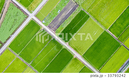 空撮 夏の見沼田んぼ 俯瞰撮影 空撮 夏の見沼田んぼ 俯瞰撮影 33793242