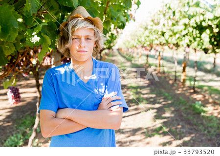 Boy in vineyard 33793520