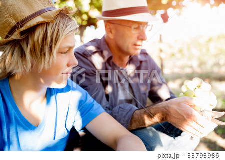 Father and son in vineyard Father and son in vineyard 33793986