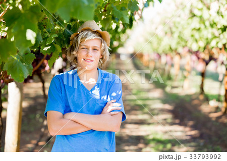 Boy in vineyard 33793992