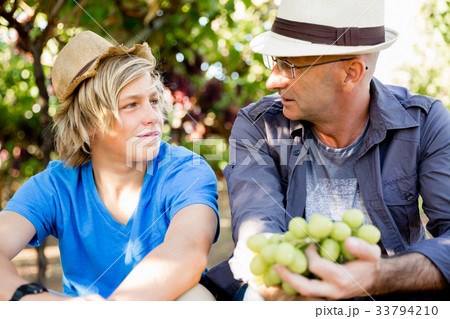 Father and son in vineyard Father and son in vineyard 33794210