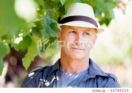 Man standing in vineyard Man standing in vineyard 33794223