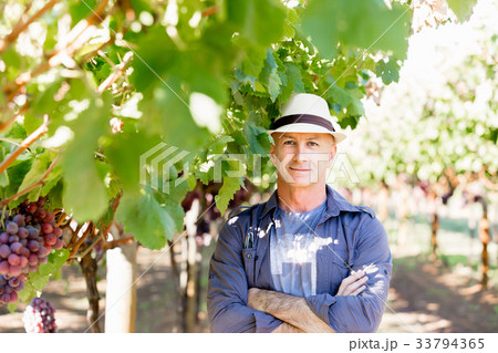 Man standing in vineyard 33794365