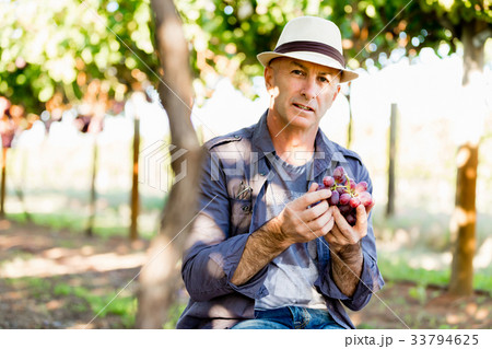 Man standing in vineyard 33794625