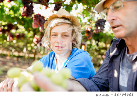 Father and son in vineyard Father and son in vineyard 33794933