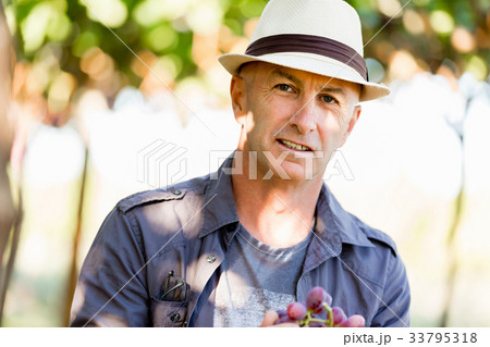 Man standing in vineyard Man standing in vineyard 33795318