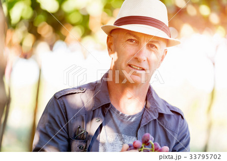 Man standing in vineyard Man standing in vineyard 33795702