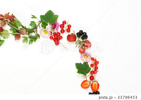 summer concept 33796453