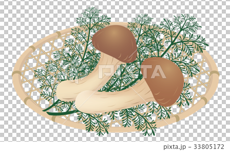 Matsutake Matsutake Matsutake Matsutake 33805172