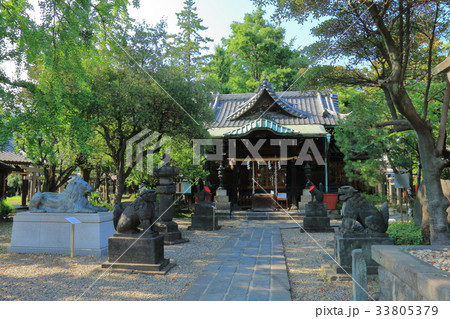 三囲神社 三井 三囲神社 三井 33805379