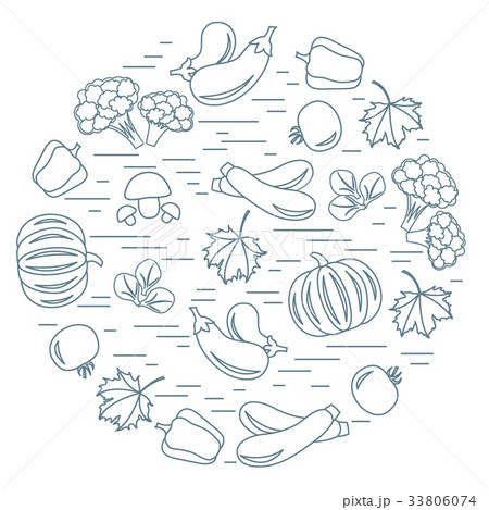 autumn seasonal fruits and vegetables in circle autumn seasonal fruits and vegetables in circle 33806074