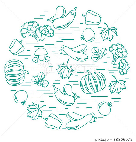 Set of autumn seasonal vegetables in circle 33806075