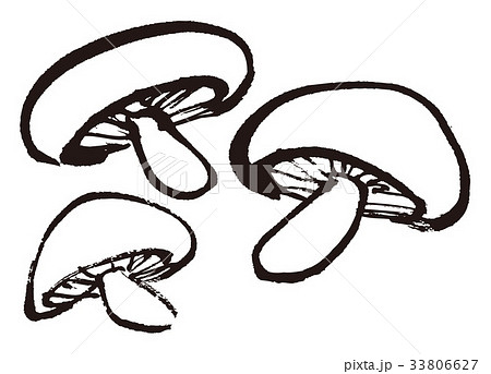 しいたけのイラスト素材