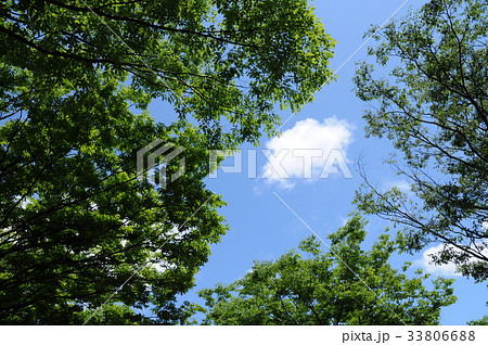 晴れた日の空 33806688