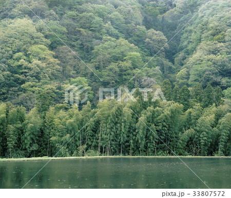 春の水田 春の水田 33807572