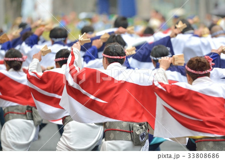 よさこい祭り 33808686