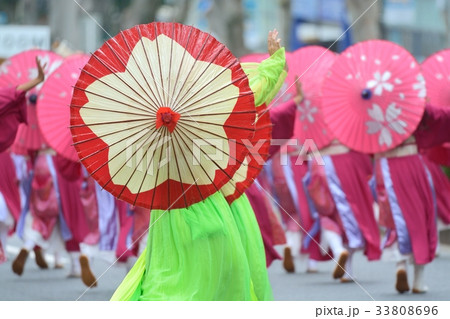 よさこい祭り 33808696