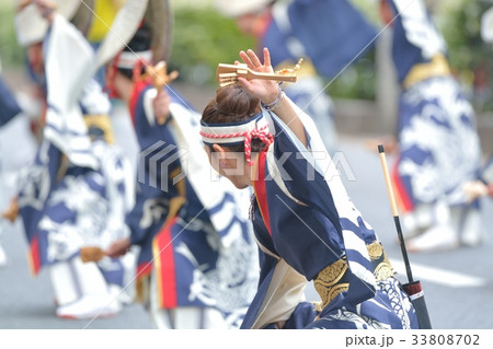 よさこい祭り よさこい祭り 33808702