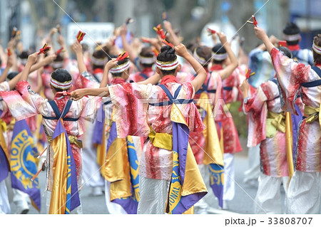 よさこい祭り 33808707