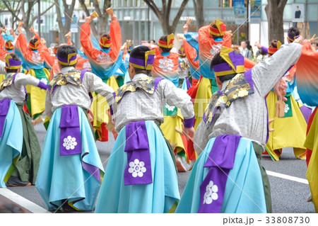 よさこい祭り 33808730