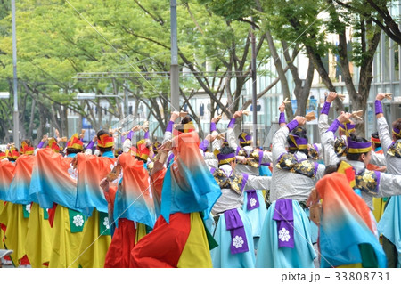 よさこい祭り 33808731