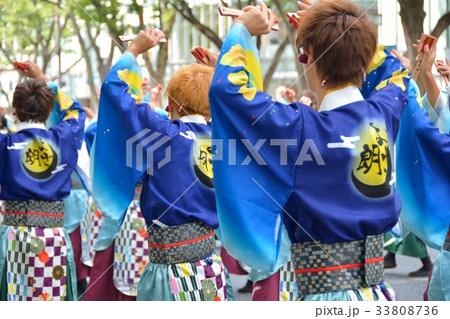 よさこい祭り よさこい祭り 33808736