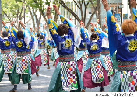 よさこい祭り 33808737