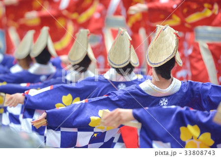 よさこい祭り よさこい祭り 33808743