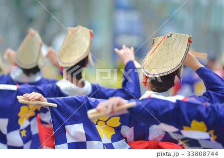 よさこい祭り 33808744
