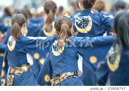 よさこい祭り 33808747