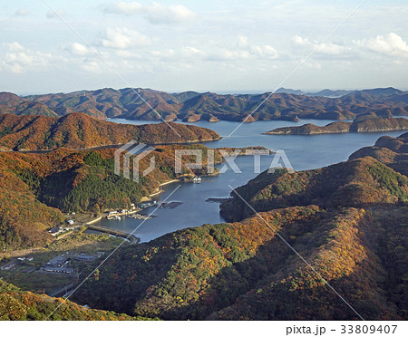 秋 長崎県 対馬 33809407