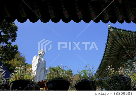 世宗市 ヨウンピョンサ 軒下 33809603