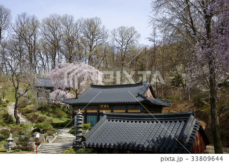 大雄殿 忠清北道 韓国 33809644