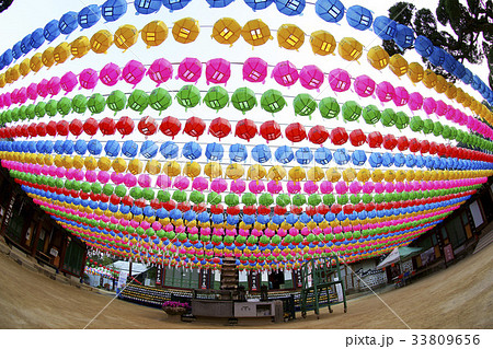 京畿道 キョンギド 神勒寺 33809656