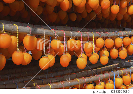 感 乾燥 慶南 33809986