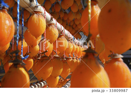 感 慶南 干し柿乾燥 33809987