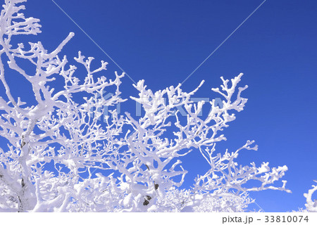 雪花 徳裕山 茂朱郡 33810074