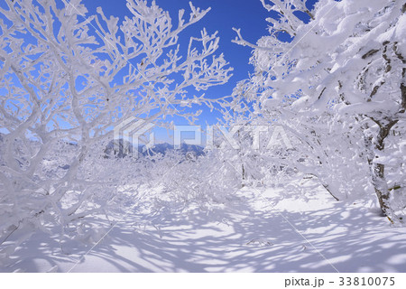 雪花 徳裕山 茂朱郡 33810075