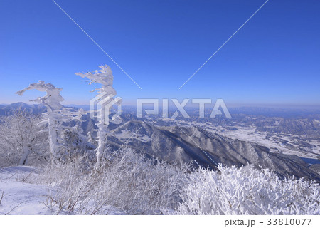 冬 木 徳裕山 33810077