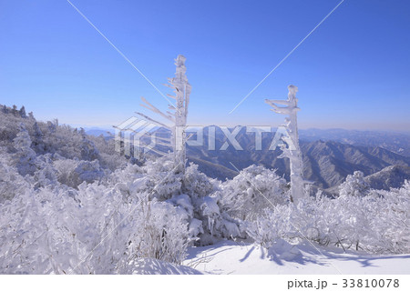 冬 古木 徳裕山 33810078